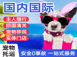 信阳明港机场快运国际宠物托运 【国